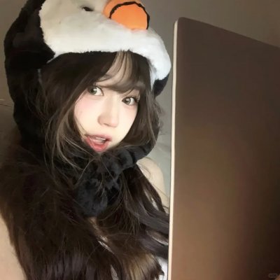 小野猫的公路历险记